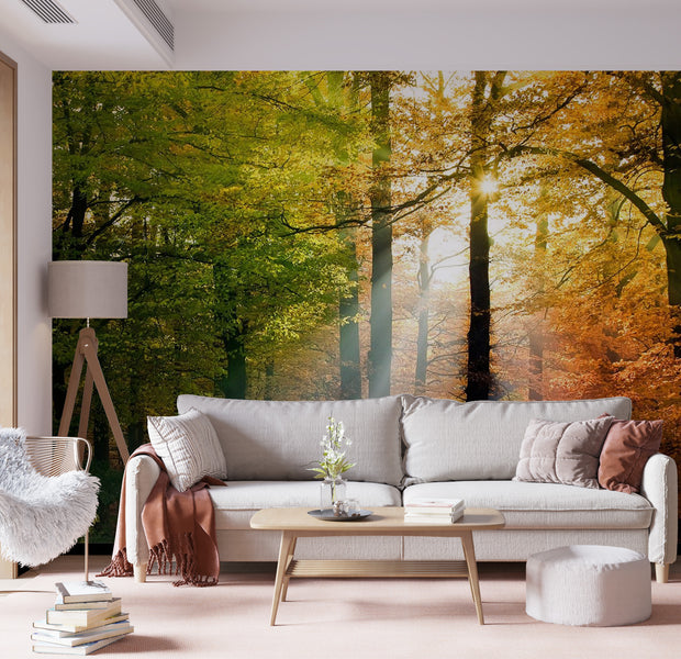Peel & Stick Forest Wall Mural - Forest Colours - Removable Wall Decals