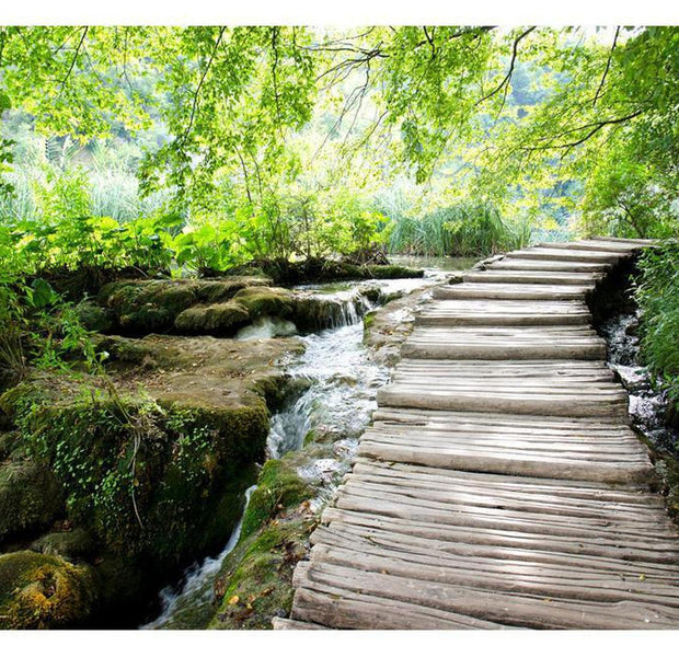 Peel & Stick Forest Wall Mural - Forest Path - Removable Wall Decals