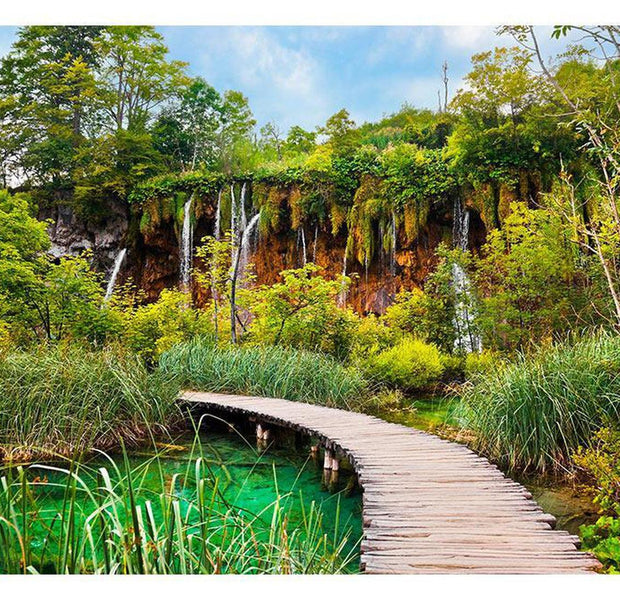 Peel & Stick Forest Wall Mural - Green Oasis - Removable Wall Decals