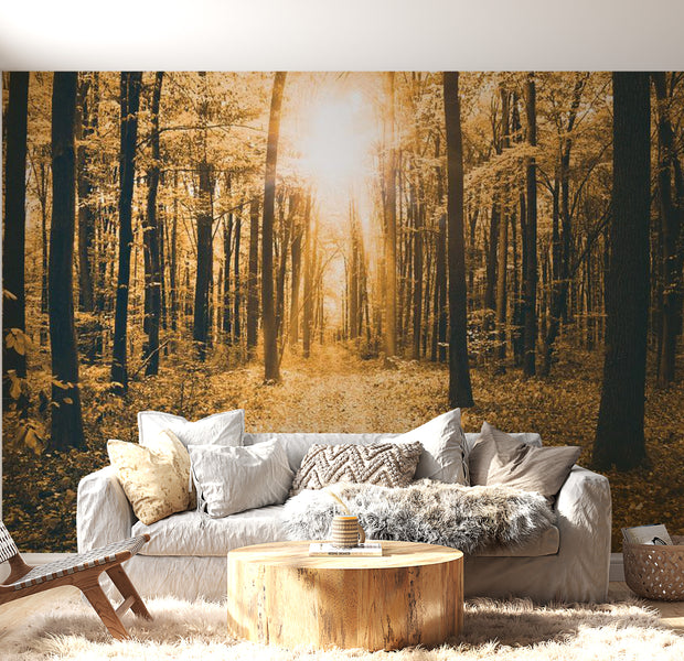 Peel & Stick Forest Wall Mural - Magical Light - Removable Wall Decals