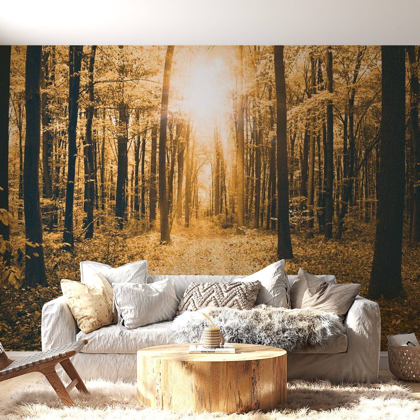 Peel & Stick Forest Wall Mural - Magical Light - Removable Wall Decals