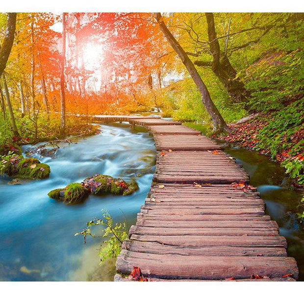 Peel & Stick Forest Wall Mural - Oasis Of Peace - Removable Wall Decals