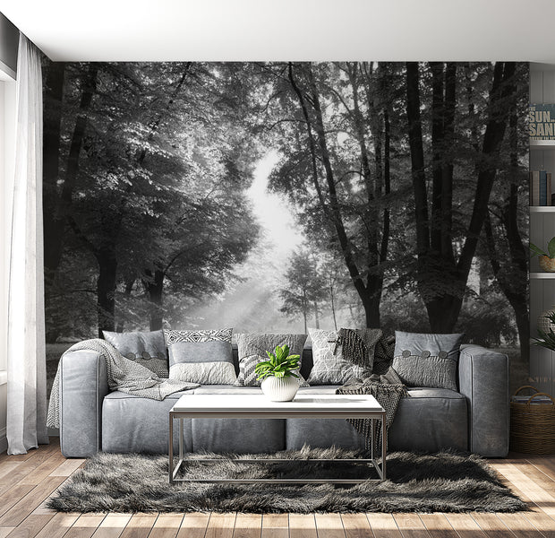 Peel & Stick Forest Wall Mural - Path Of Memories - Removable Wall Decals