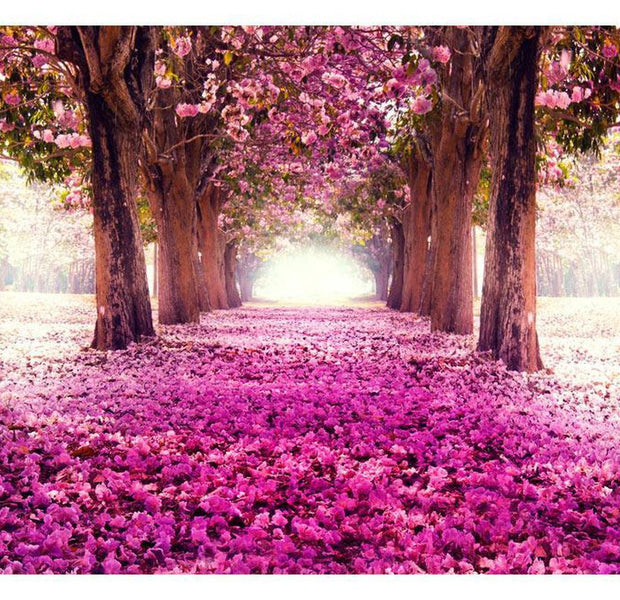 Peel & Stick Forest Wall Mural - Pink Path - Removable Wall Decals