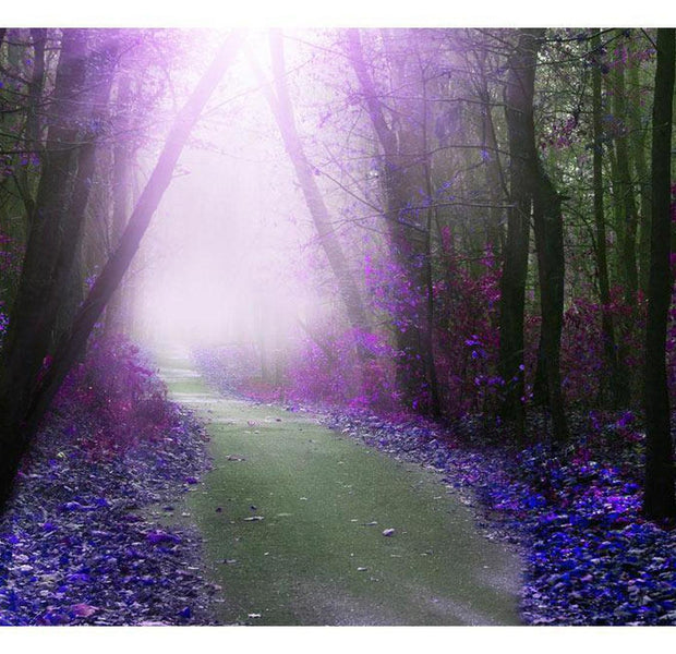 Peel & Stick Forest Wall Mural - Purple Path - Removable Wall Decals