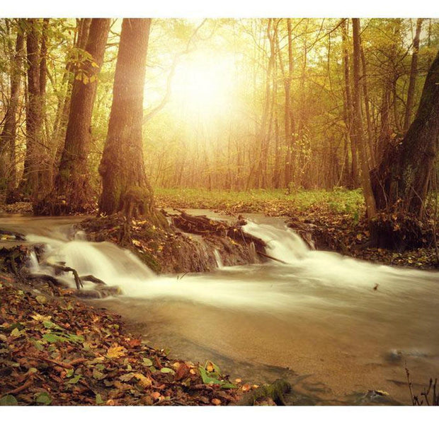 Peel & Stick Forest Wall Mural - Sunny Current - Removable Wall Decals