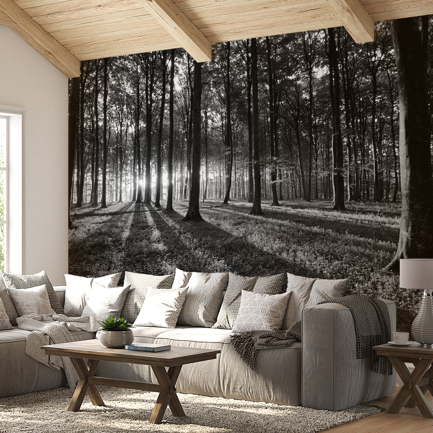 Peel & Stick Forest Wall Mural - The Light In The Forest - Removable Wall Decals