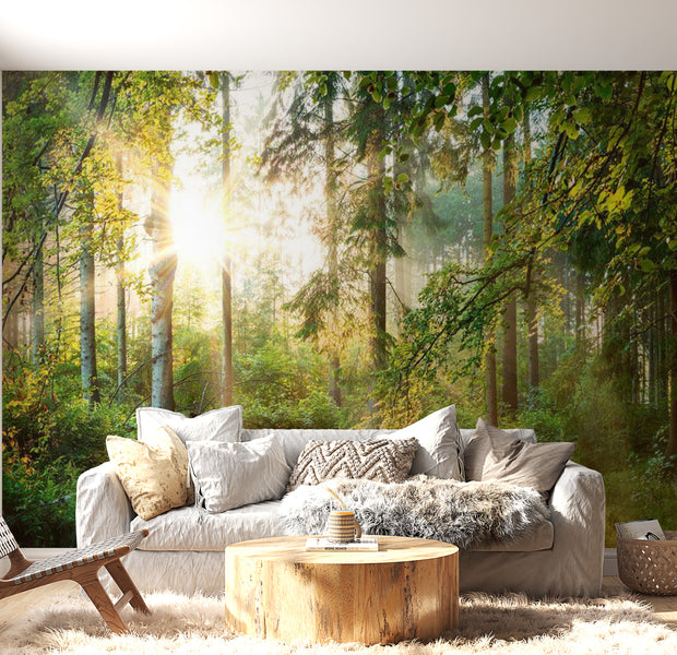 Peel & Stick Forest Wall Mural - Untamed Nature - Removable Wall Decals
