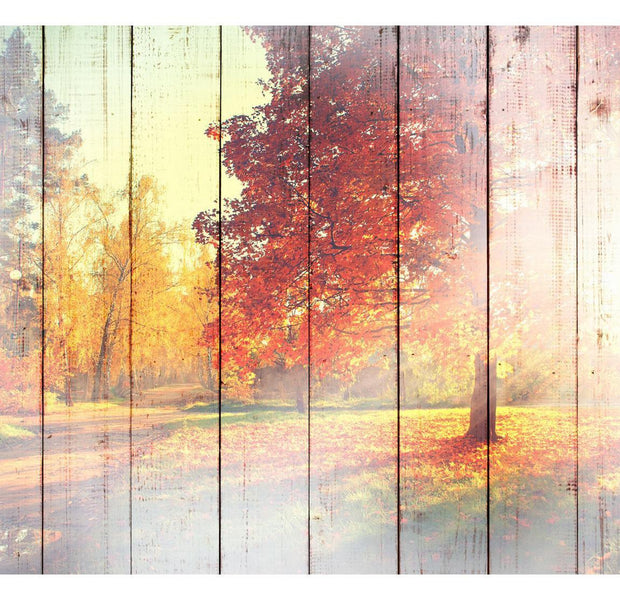 Peel & Stick Forest Wall Mural - Vintage Autumn Sun - Removable Wall Decals