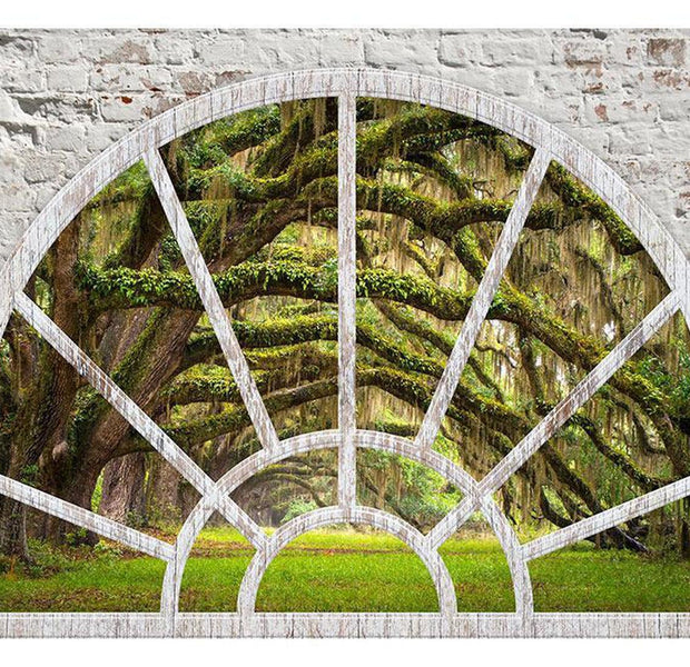 Peel & Stick Forest Wall Mural - Window To Secret Forest - Removable Wall Decals