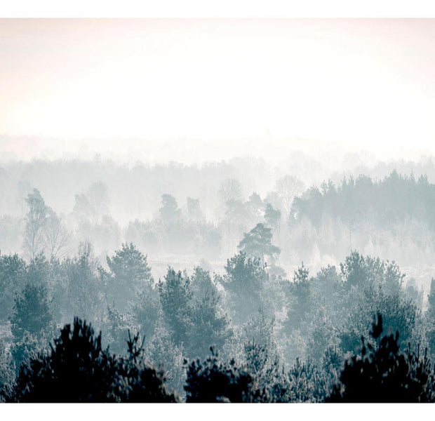 Peel & Stick Forest Wall Mural - Winter Forest - Removable Wall Decals