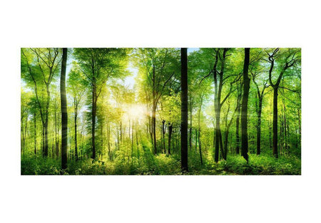 Peel & Stick Forest XXL Wall Mural - Green Forest Sunrise - Removable Wall Decals