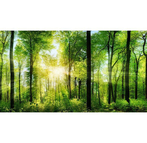 Peel & Stick Forest XXL Wall Mural - Green Forest Sunrise - Removable Wall Decals