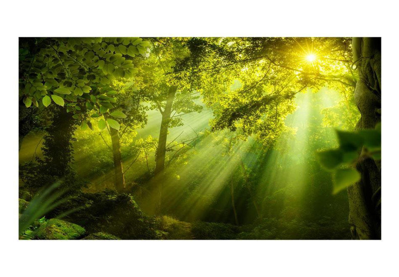 Peel & Stick Forest XXL Wall Mural - In A Secret Forest - Removable Wall Decals