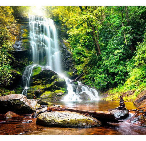 Peel & Stick Nature Wall Mural - Wonder Of Nature - Removable Wall Decals