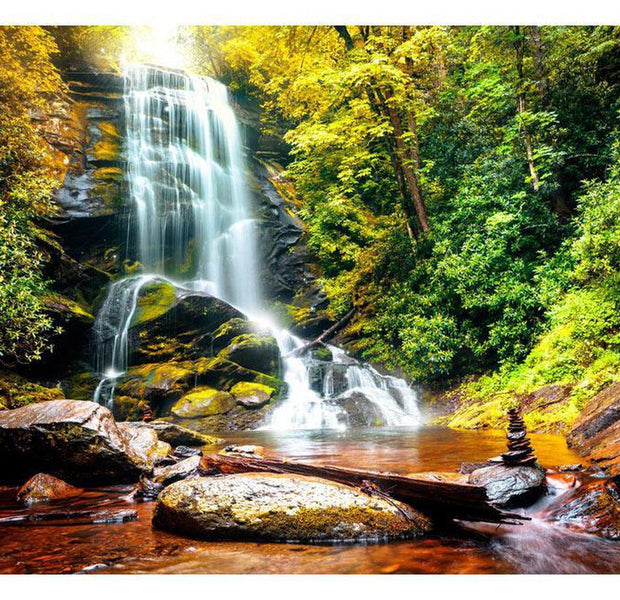 Peel & Stick Nature Wall Mural - Another Wonder Of Nature - Removable Wall Decals