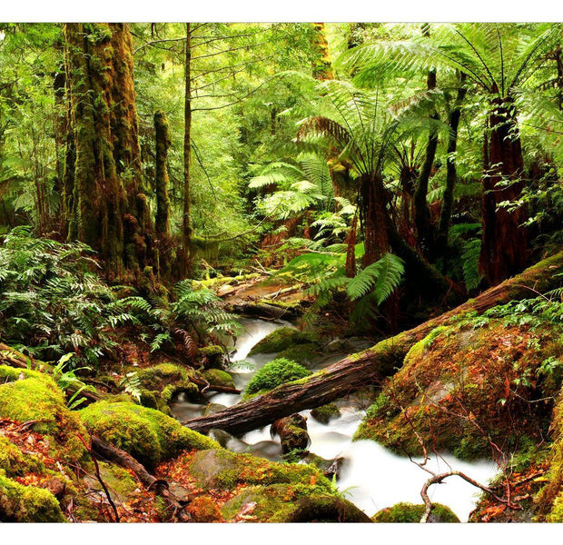 Peel & Stick Nature Wall Mural - Green Forest Jungle - Removable Wall Decals