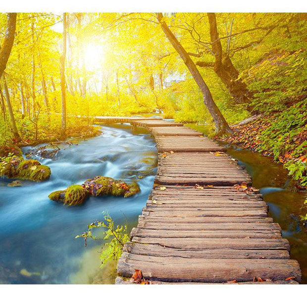 Peel & Stick Nature Wall Mural - Forest Walkway - Removable Wall Decals