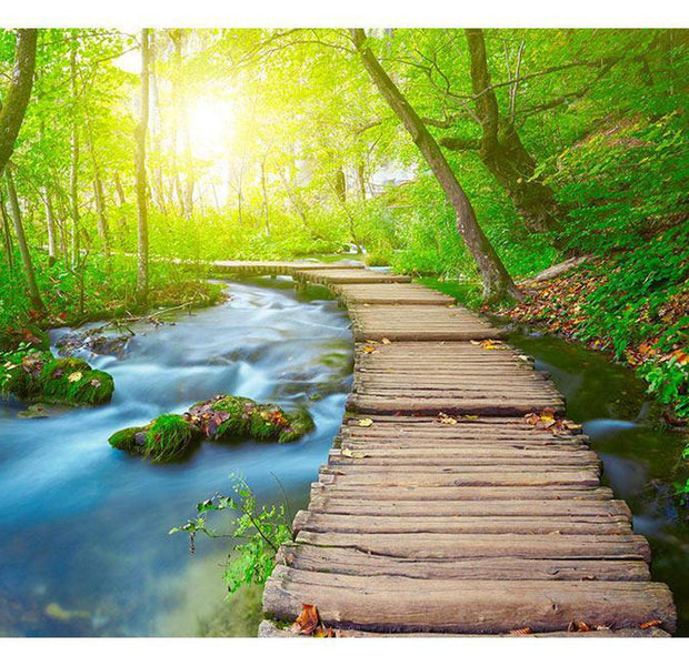 Peel & Stick Nature Wall Mural - Green Forest - Removable Wall Decals