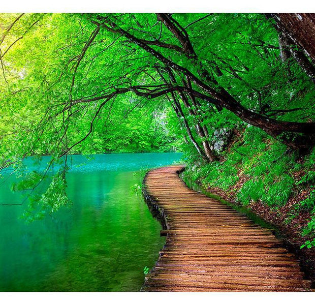 Peel & Stick Nature Wall Mural - Green Peace - Removable Wall Decals