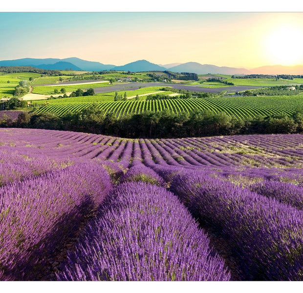 Peel & Stick Nature Wall Mural - Lavender Field - Removable Wall Decals