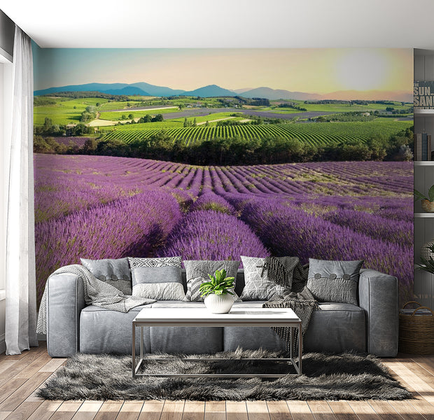 Peel & Stick Nature Wall Mural - Lavender Field - Removable Wall Decals