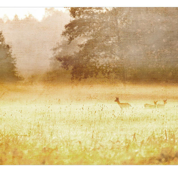 Peel & Stick Nature Wall Mural - Morning Dew - Removable Wall Decals