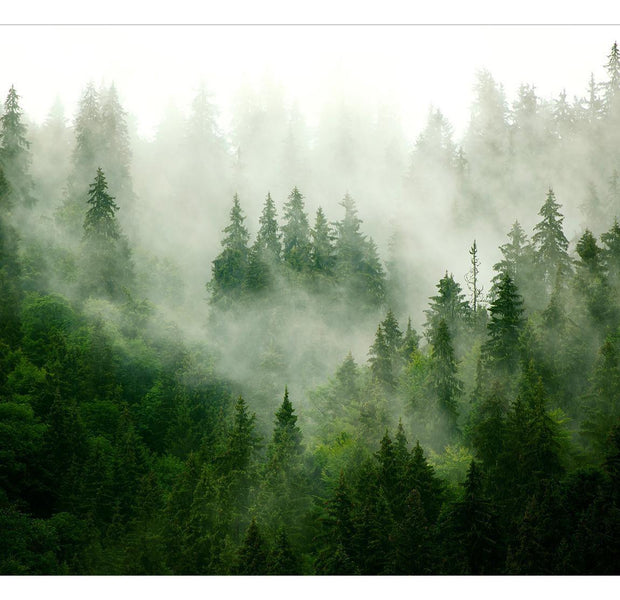 Peel & Stick Nature Wall Mural - Green Mountain Mist - Removable Wall Decals