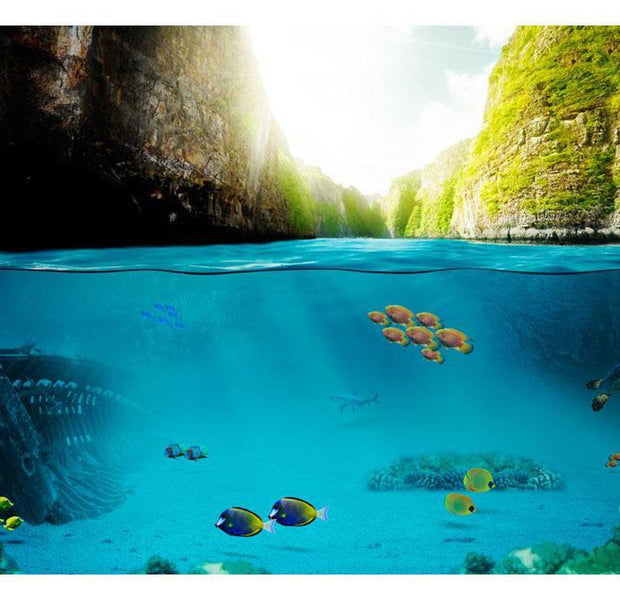 Peel & Stick Nature Wall Mural - Under The Waterline - Removable Wall Decals