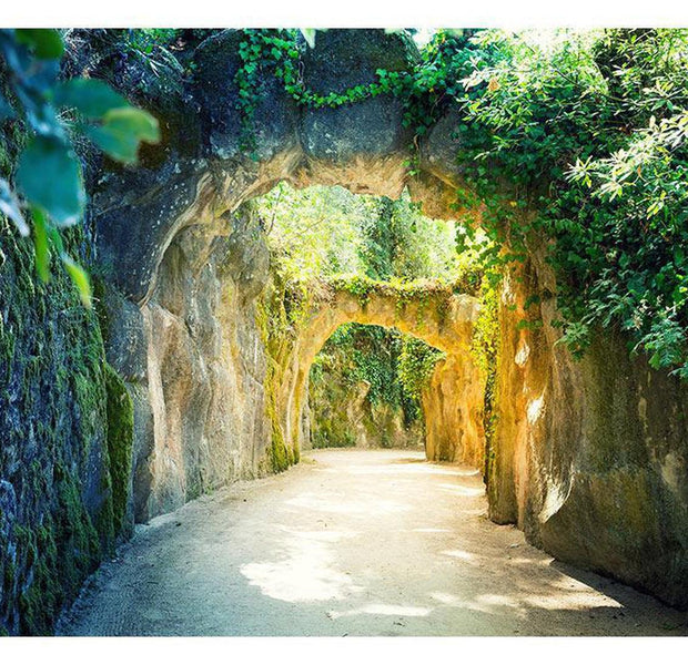 Peel & Stick Nature Wall Mural - Via Naturae - Removable Wall Decals