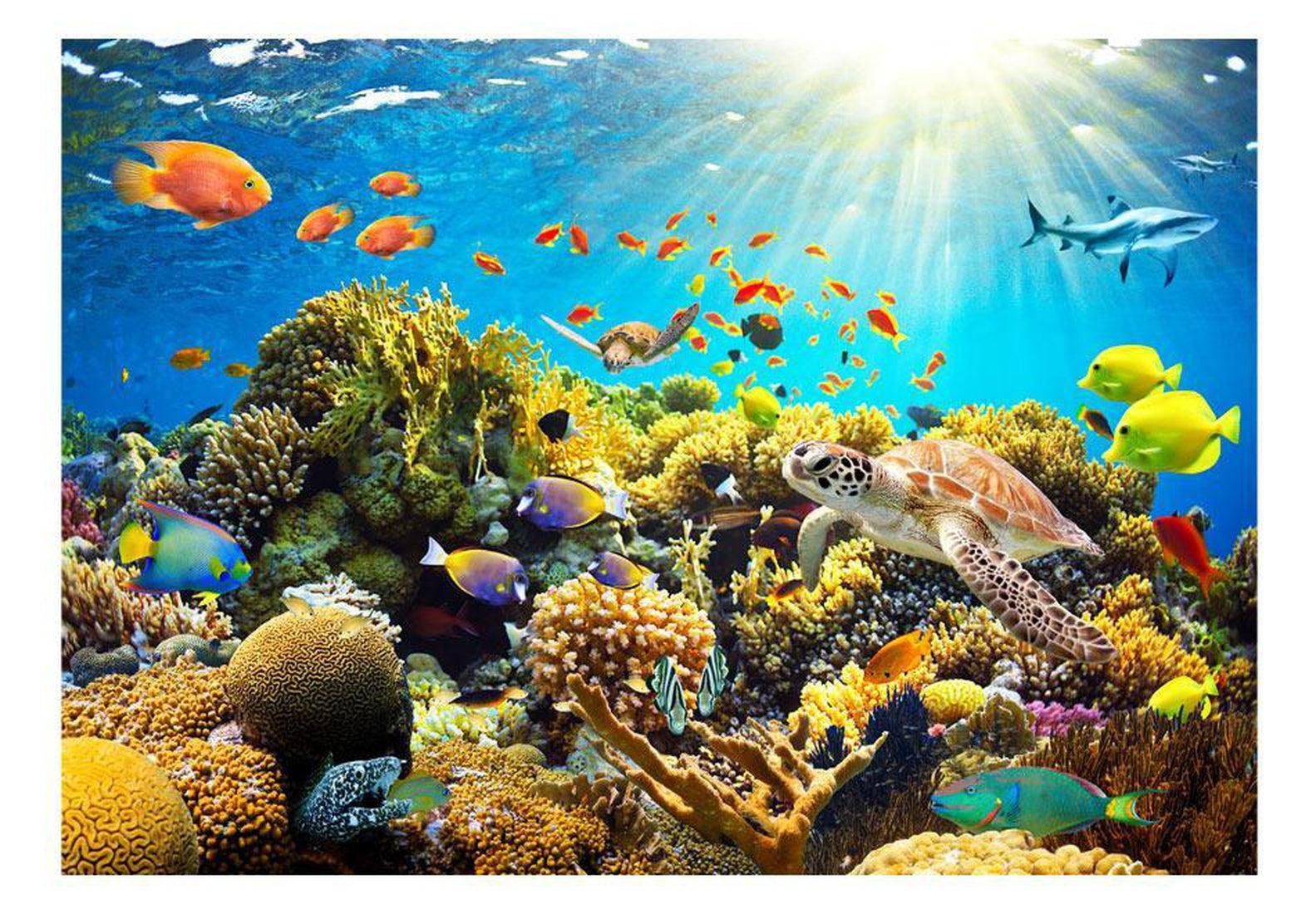 Peel & Stick Tropical Wall Mural - Underwater Land - Removable Wall Decals