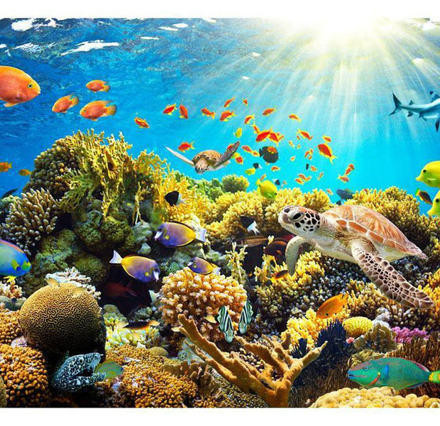 Peel & Stick Tropical Wall Mural - Underwater Land - Removable Wall Decals