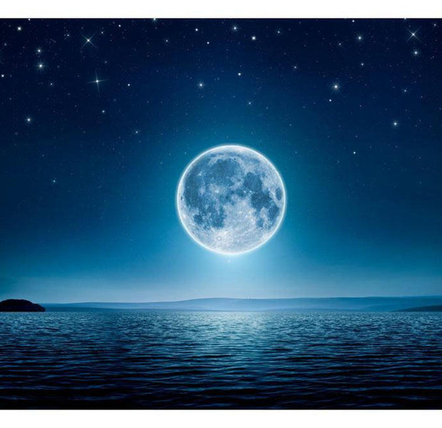 Peel & Stick Space Wall Mural - Moonlit Night - Removable Wall Decals