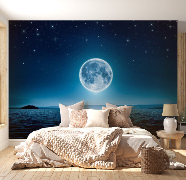 Peel & Stick Space Wall Mural - Moonlit Night - Removable Wall Decals
