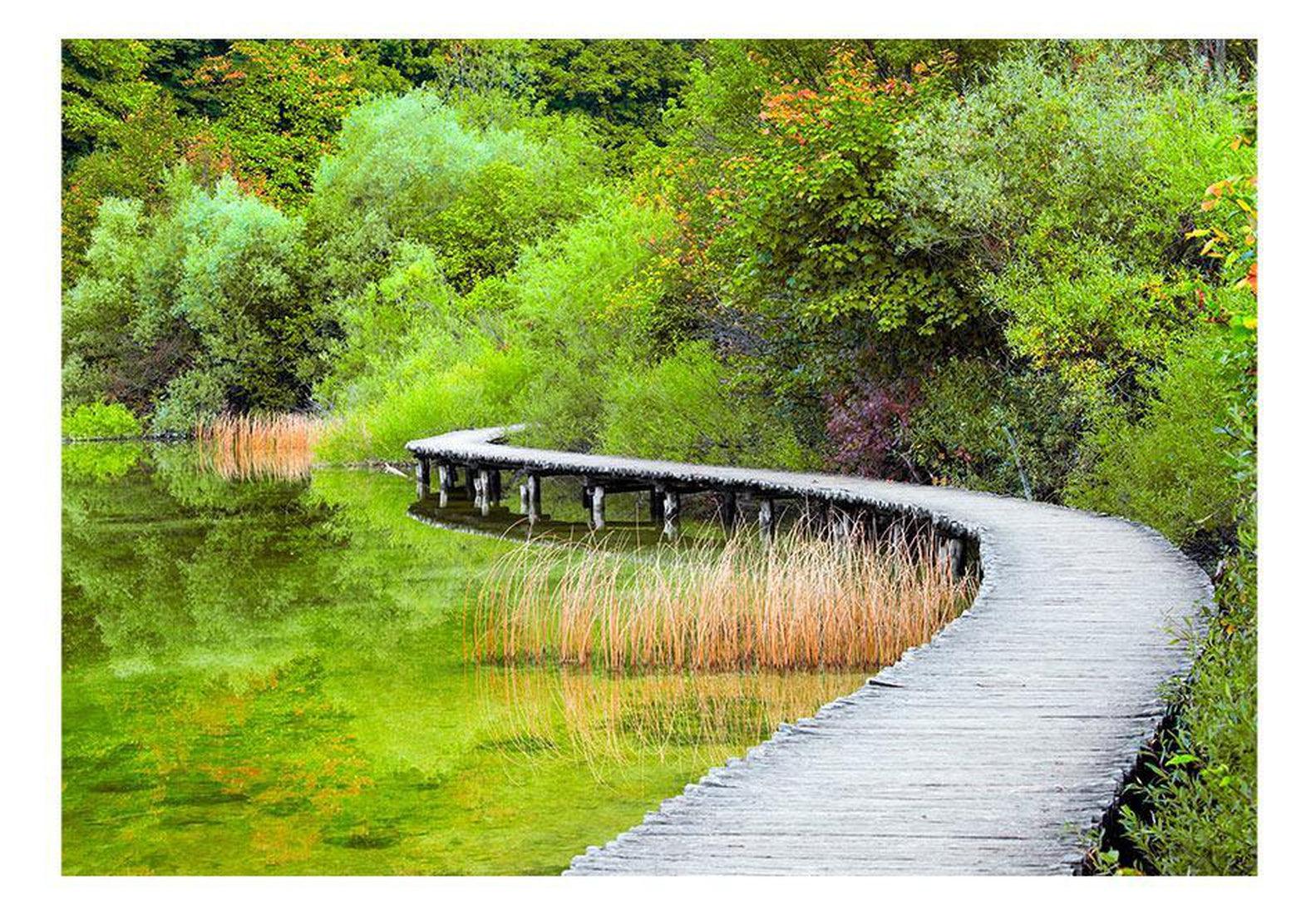 Peel & Stick Wall Mural - Beautiful Green - Removable Wall Decals