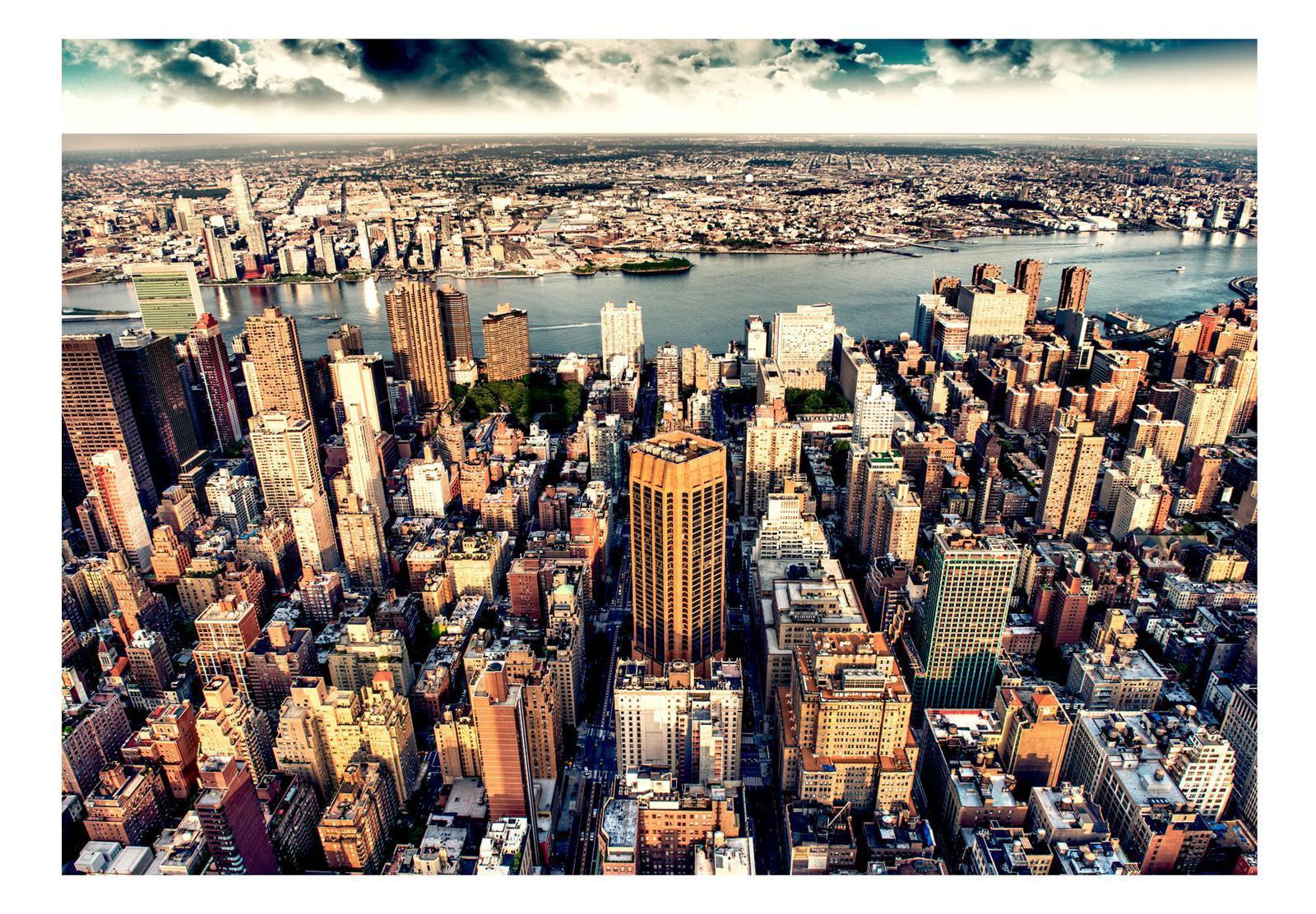 Peel & Stick Wall Mural - Bird's Eye View Of New York - Removable Wall Decals