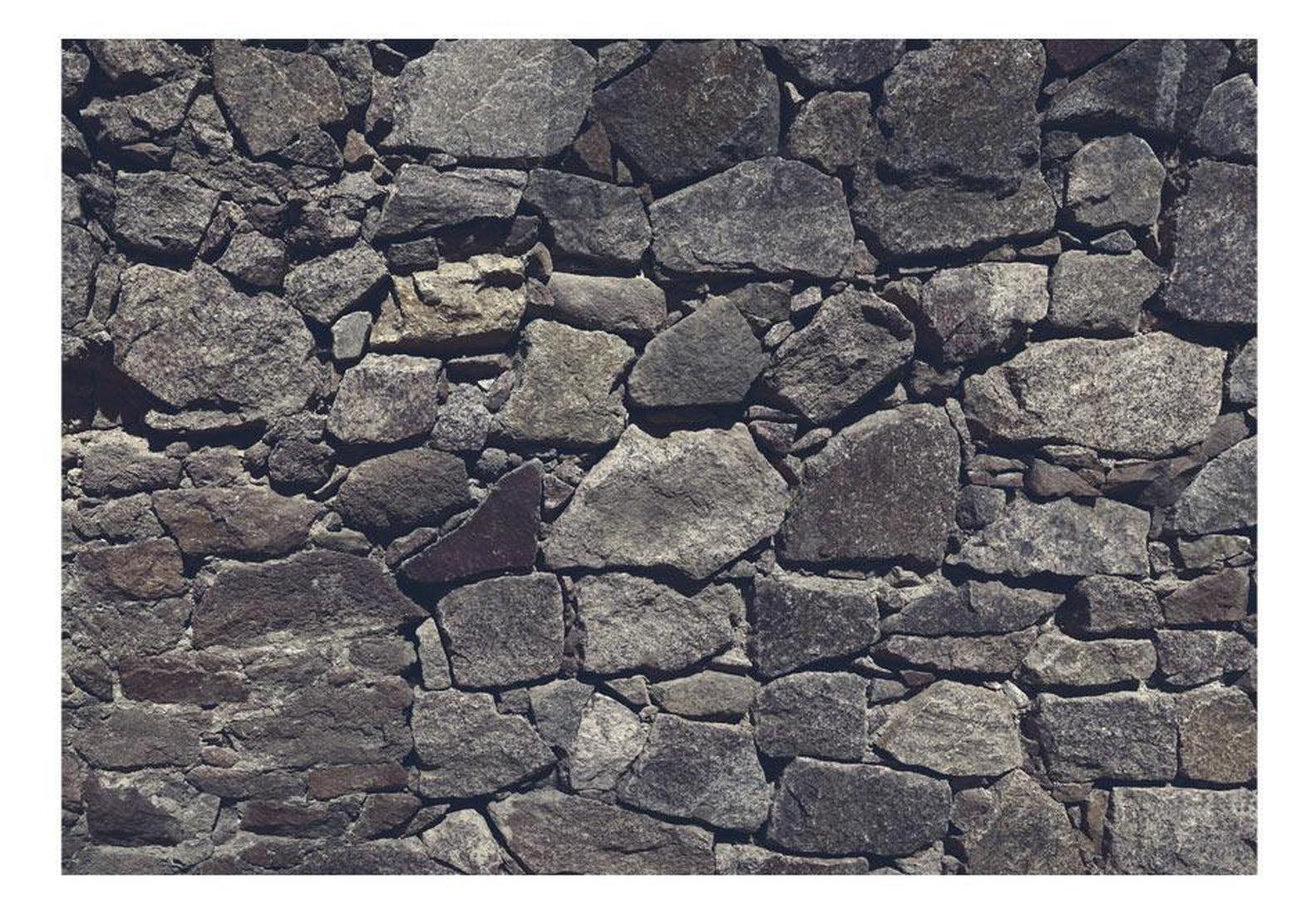 Peel & Stick Wall Mural - Dark Big Stone Church Wall - Removable Wall Decals