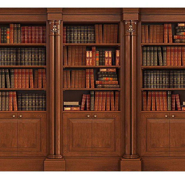 Peel & Stick Wall Mural - Elegant Library - Removable Wall Decals