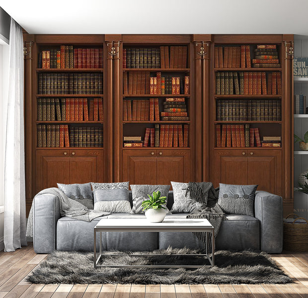 Peel & Stick Wall Mural - Elegant Library - Removable Wall Decals