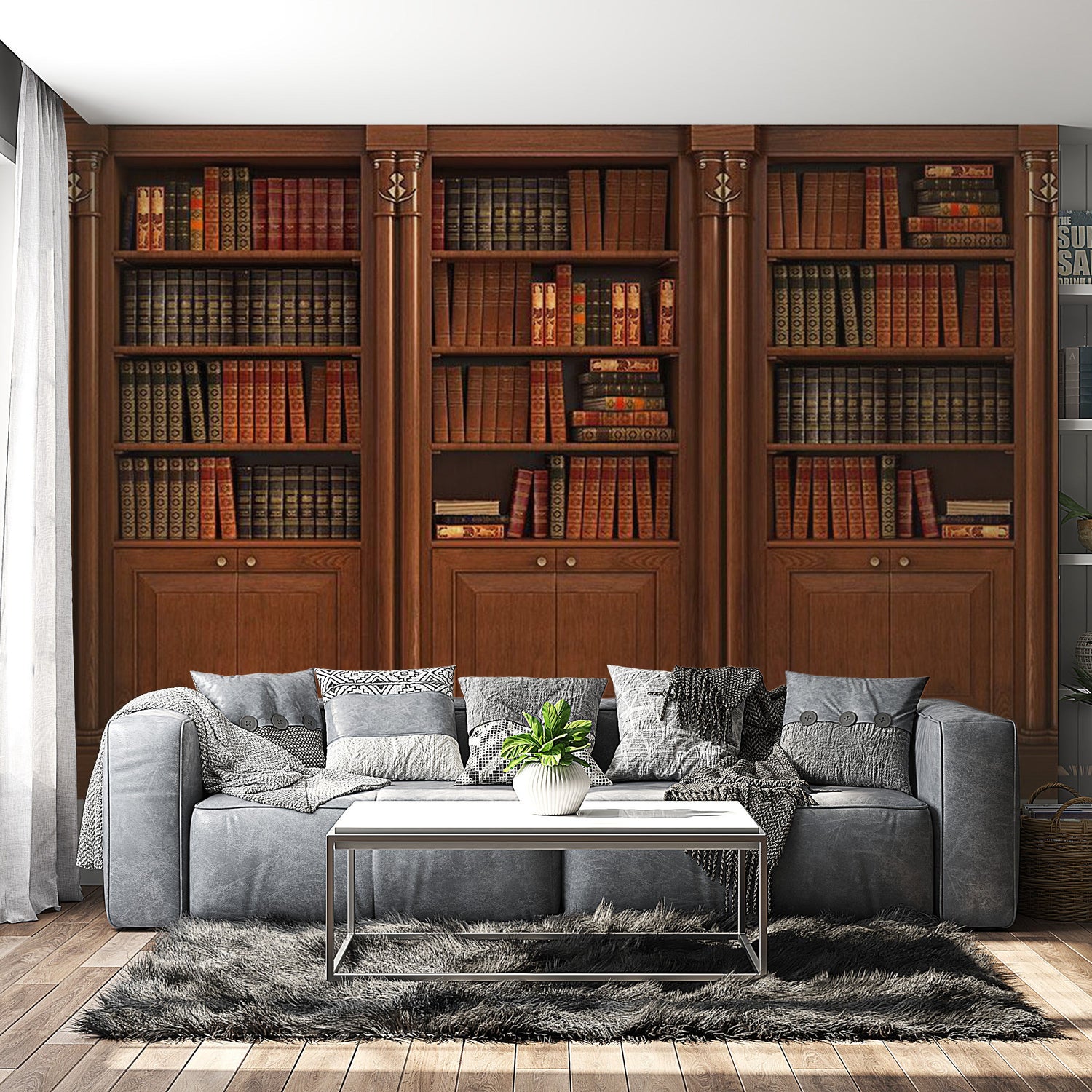 Peel & Stick Wall Mural - Elegant Library - Removable Wall Decals