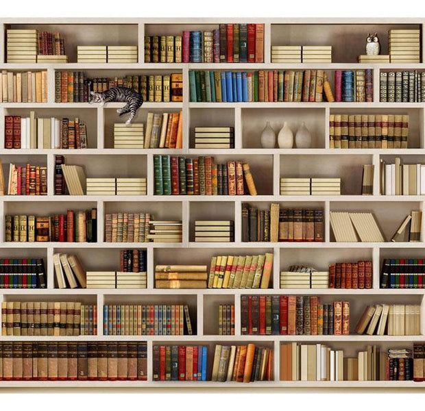 Peel & Stick Wall Mural - Home Library - Removable Wall Decals