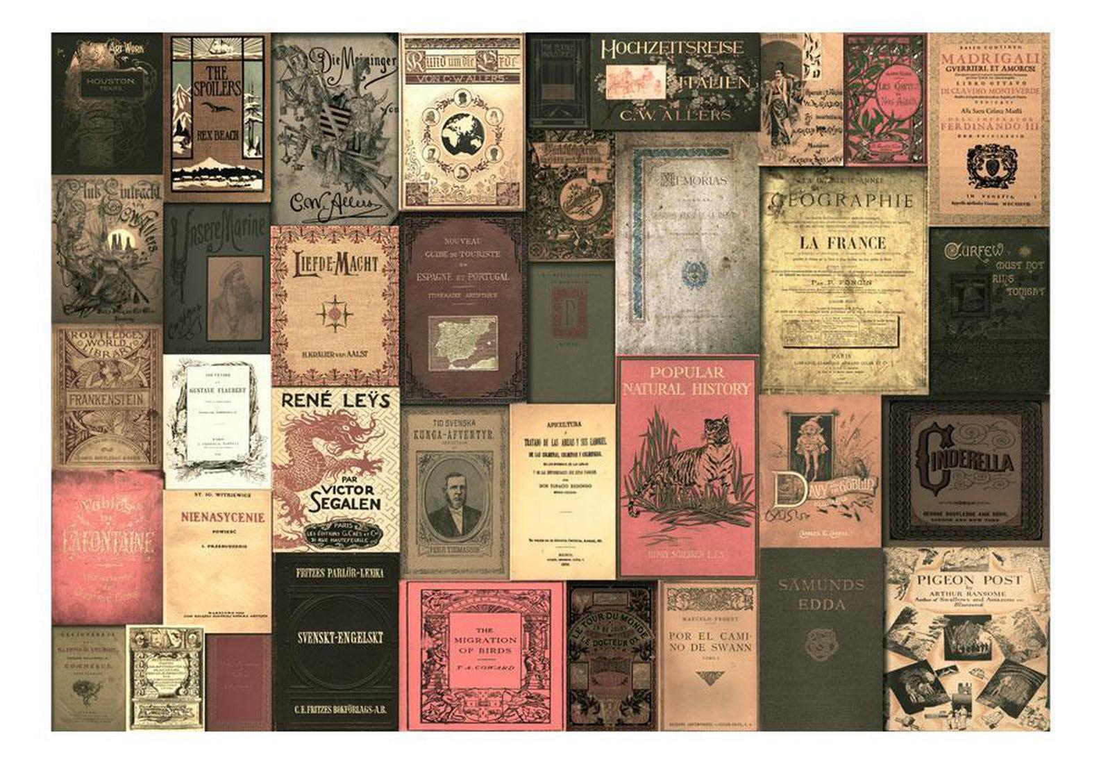 Peel & Stick Wall Mural - Old Book Covers - Removable Wall Decals