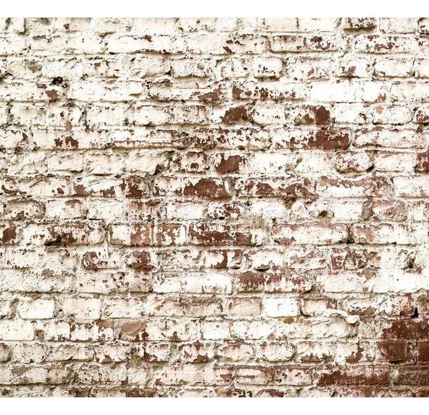 Peel & Stick Wall Mural - Old Farm Bricks - Removable Wall Decals