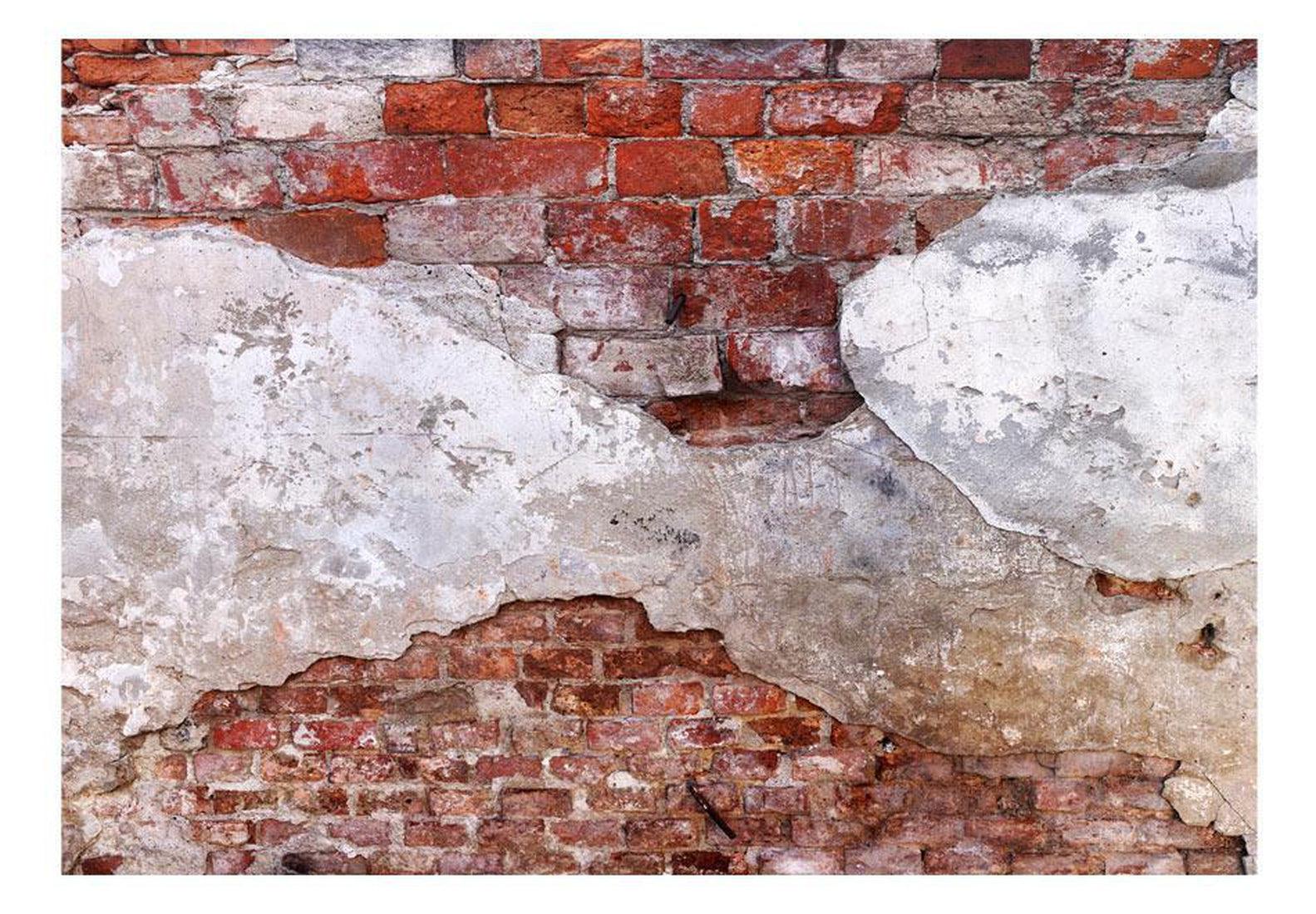 Peel & Stick Wall Mural - Old Plaster Brick Wall - Removable Wall Decals