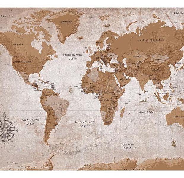 Peel & Stick World Map Wall Mural - Brown World Map - Removable Wall Decals