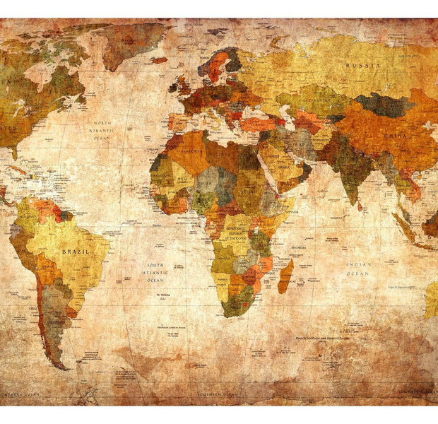 Peel & Stick World Map Wall Mural - Old Vintage World Map - Removable Wall Decals
