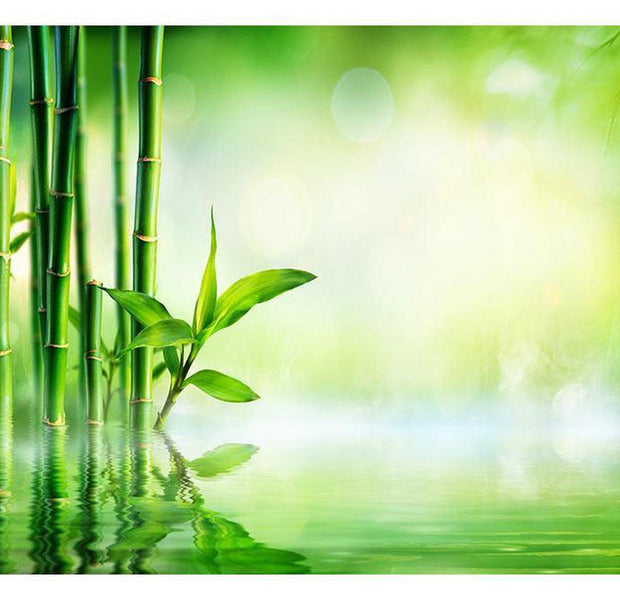 Peel & Stick Zen Wall Mural - Bamboo Spa Grove - Removable Wall Decals