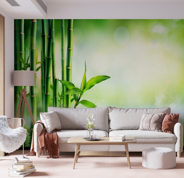Peel & Stick Zen Wall Mural - Bamboo Spa Grove - Removable Wall Decals