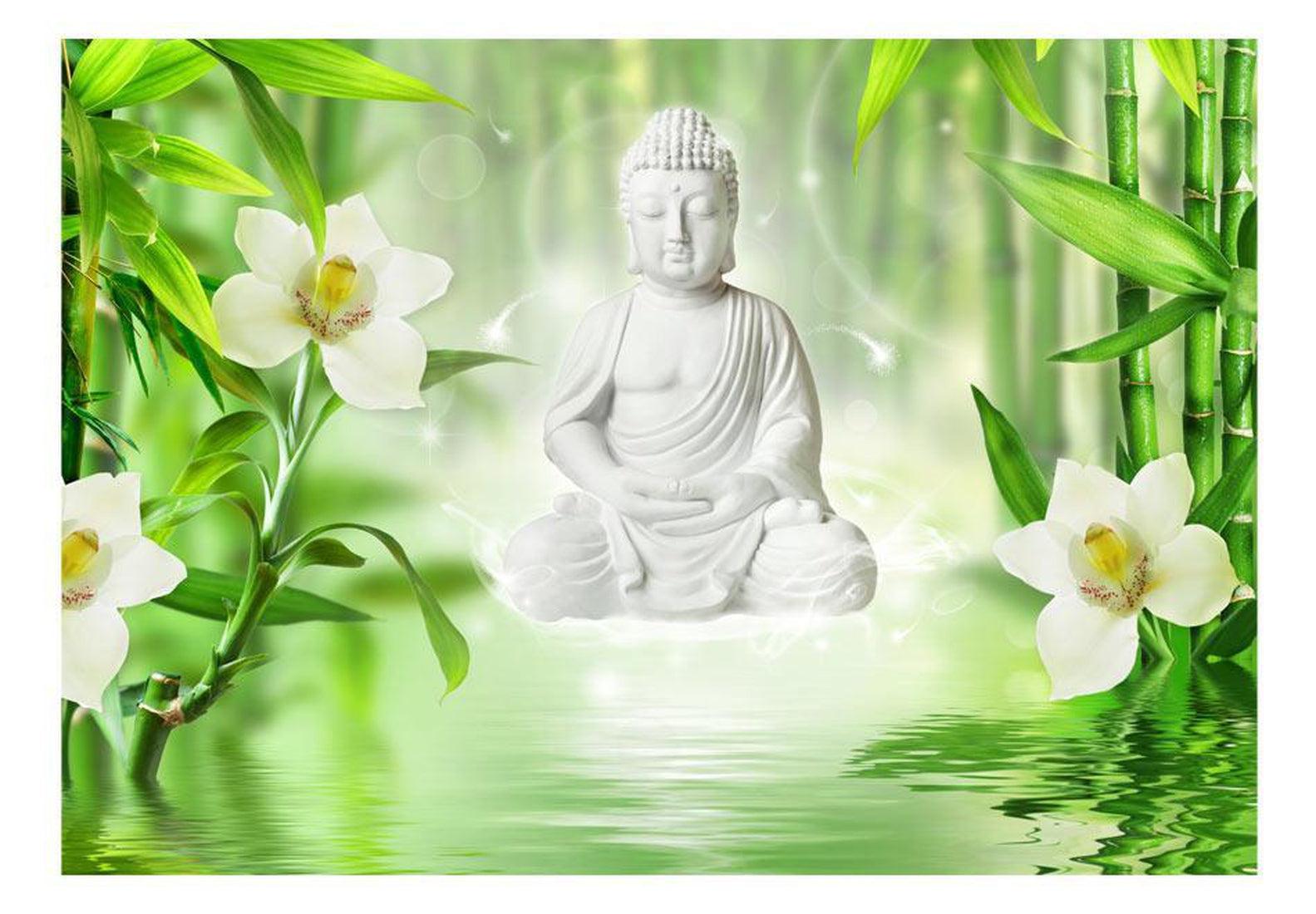 Peel & Stick Zen Wall Mural - Buddha And Nature - Removable Wall Decals