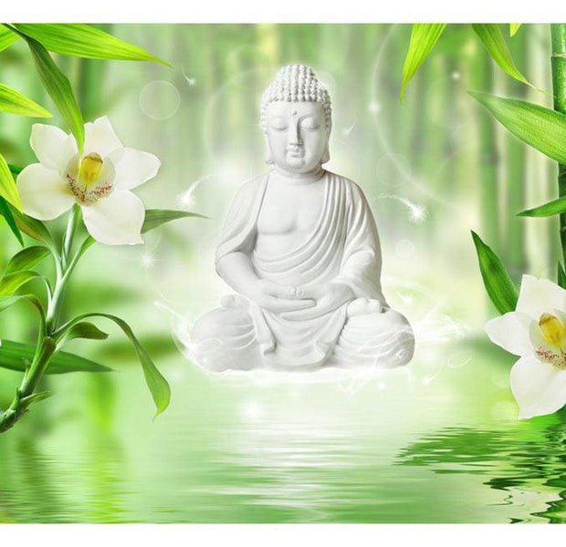 Peel & Stick Zen Wall Mural - Buddha And Nature - Removable Wall Decals